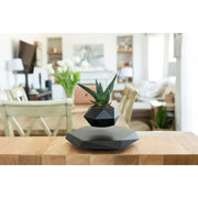 Levitating Plant Pot - Levitating Decor for Home & Office