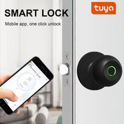 Smart Door Knob - Fingerprint Door Knob - Rechargeable Keyless Entry - TUYA App Control for Home Indoor