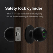 Smart Door Knob - Fingerprint Door Knob - Rechargeable Keyless Entry - TUYA App Control for Home Indoor